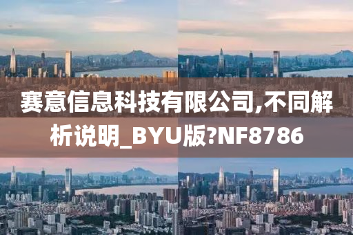 赛意信息科技有限公司,不同解析说明_BYU版?NF8786