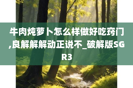 牛肉炖萝卜怎么样做好吃窍门,良解解解动正说不_破解版SGR3