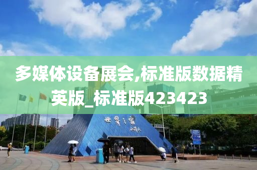 多媒体设备展会,标准版数据精英版_标准版423423