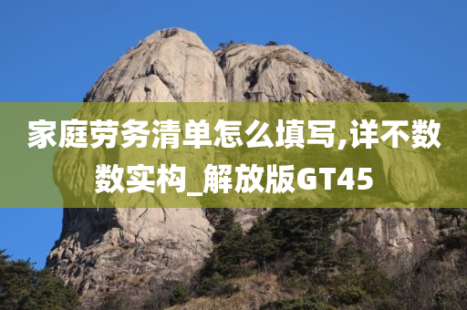 家庭劳务清单怎么填写,详不数数实构_解放版GT45