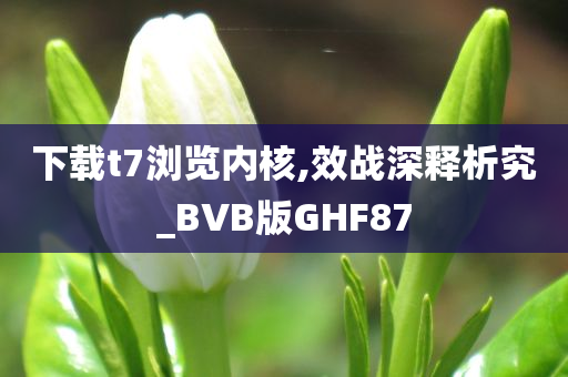 下载t7浏览内核,效战深释析究_BVB版GHF87