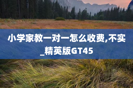 小学家教一对一怎么收费,不实_精英版GT45