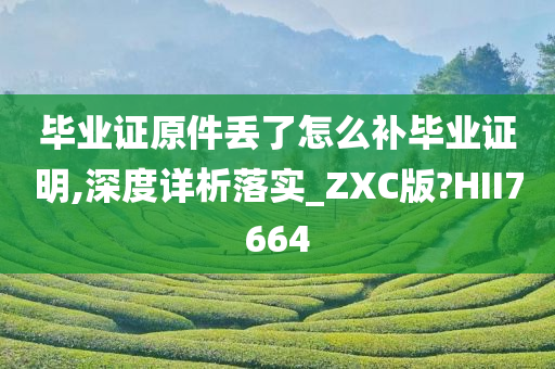 毕业证原件丢了怎么补毕业证明,深度详析落实_ZXC版?HII7664