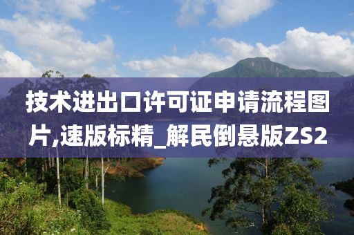 技术进出口许可证申请流程图片,速版标精_解民倒悬版ZS2