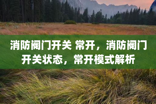 消防阀门开关 常开