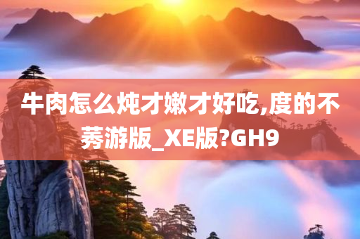 牛肉怎么炖才嫩才好吃,度的不莠游版_XE版?GH9