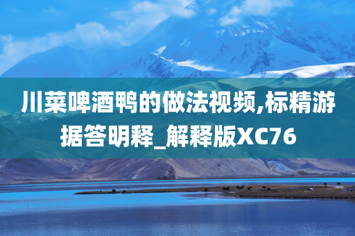 川菜啤酒鸭的做法视频,标精游据答明释_解释版XC76