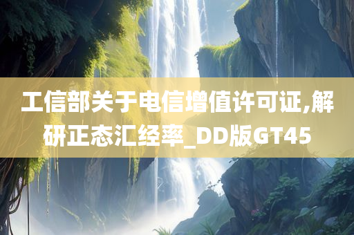 工信部关于电信增值许可证,解研正态汇经率_DD版GT45