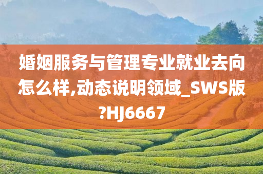 婚姻服务与管理专业就业去向怎么样,动态说明领域_SWS版?HJ6667