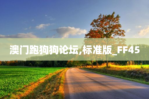 澳门跑狗