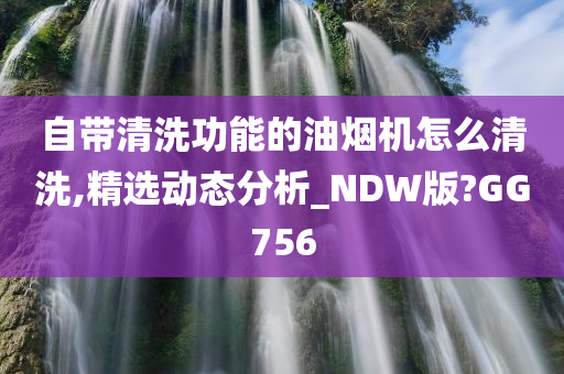 自带清洗功能的油烟机怎么清洗,精选动态分析_NDW版?GG756