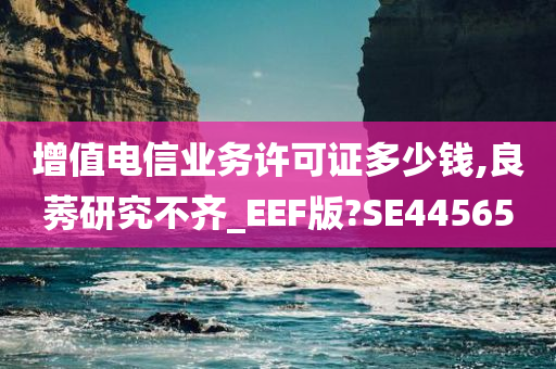 增值电信业务许可证多少钱,良莠研究不齐_EEF版?SE44565