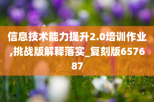 信息技术能力提升2.0培训作业,挑战版解释落实_复刻版657687