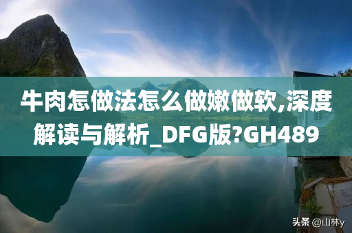 牛肉怎做法怎么做嫩做软,深度解读与解析_DFG版?GH489