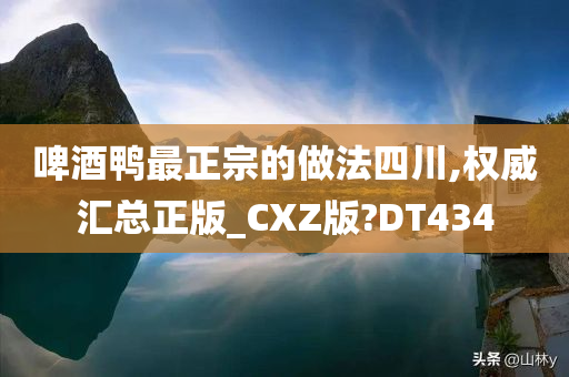 啤酒鸭最正宗的做法四川,权威汇总正版_CXZ版?DT434