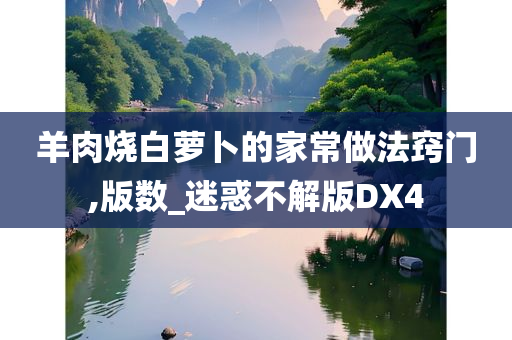 羊肉烧白萝卜的家常做法窍门,版数_迷惑不解版DX4