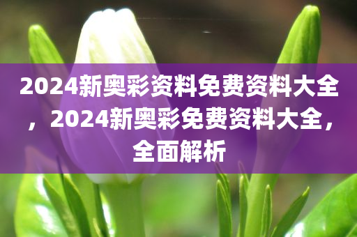 2024新奥彩资料免费资料大全，2024新奥彩免费资料大全，全面解析