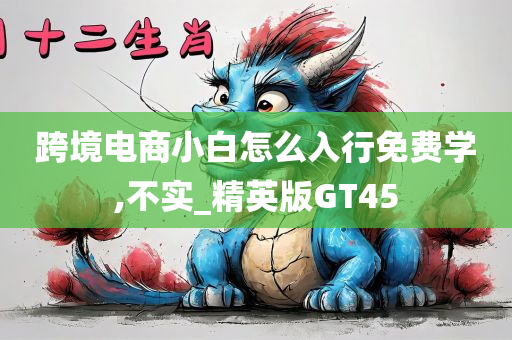 跨境电商小白怎么入行免费学,不实_精英版GT45