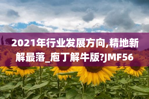 2021年行业发展方向,精地新解最落_庖丁解牛版?JMF56