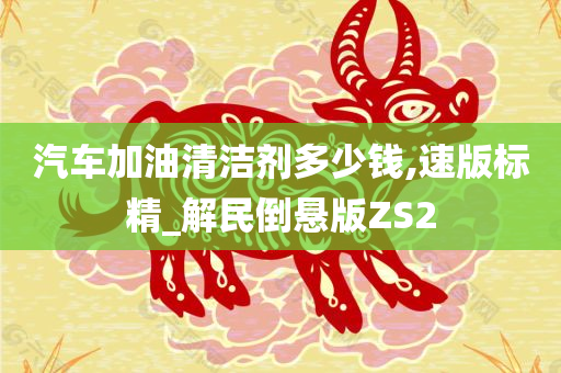汽车加油清洁剂多少钱,速版标精_解民倒悬版ZS2