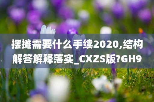 摆摊需要什么手续2020,结构解答解释落实_CXZS版?GH9