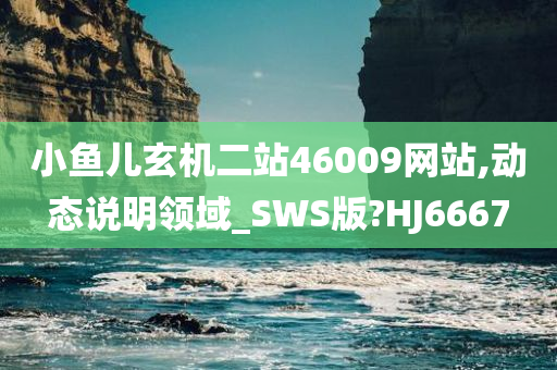 小鱼儿玄机二站46009网站,动态说明领域_SWS版?HJ6667