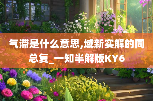 气滞是什么意思,域新实解的同总复_一知半解版KY6