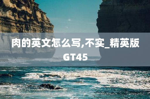 肉的英文怎么写,不实_精英版GT45