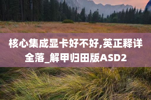 核心集成显卡好不好,英正释详全落_解甲归田版ASD2