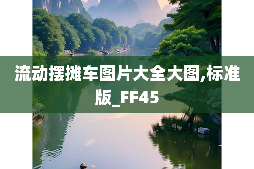 流动摆摊车图片大全大图,标准版_FF45