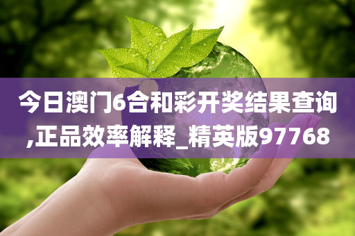 今日澳门6合和彩开奖结果查询,正品效率解释_精英版97768