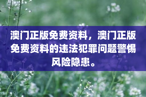 澳门正版免费资料，澳门正版免费资料的违法犯罪问题警惕风险隐患。