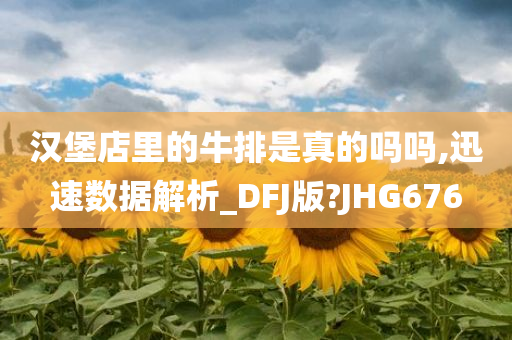 汉堡店里的牛排是真的吗吗,迅速数据解析_DFJ版?JHG676