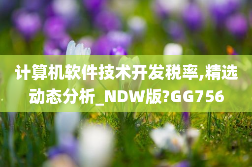 计算机软件技术开发税率,精选动态分析_NDW版?GG756