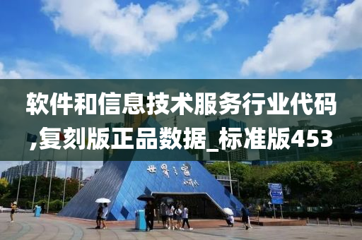 软件和信息技术服务行业代码,复刻版正品数据_标准版453