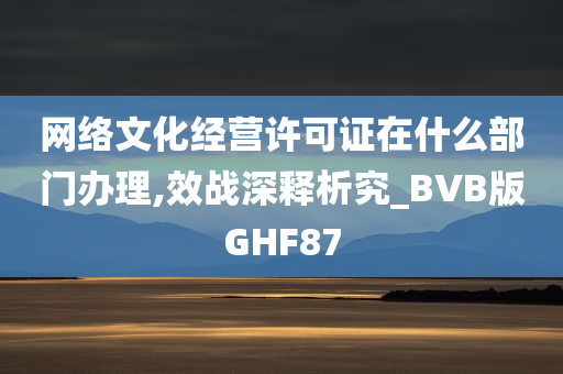 网络文化经营许可证在什么部门办理,效战深释析究_BVB版GHF87