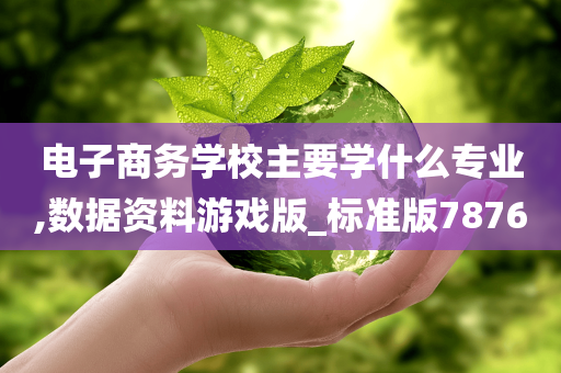 电子商务学校主要学什么专业,数据资料游戏版_标准版7876