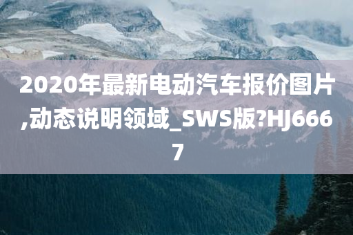 2020年最新电动汽车报价图片,动态说明领域_SWS版?HJ6667