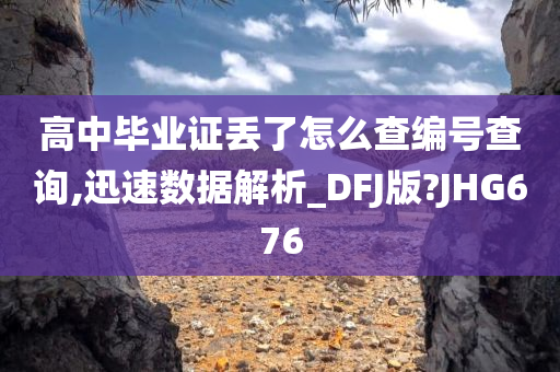 高中毕业证丢了怎么查编号查询,迅速数据解析_DFJ版?JHG676