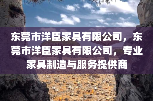 东莞市洋臣家具有限公司，东莞市洋臣家具有限公司，专业家具制造与服务提供商