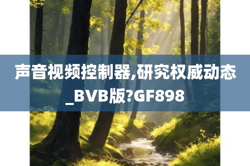 声音视频控制器,研究权威动态_BVB版?GF898