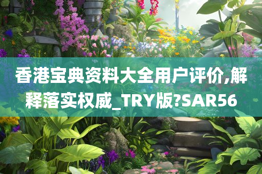 香港宝典资料大全用户评价,解释落实权威_TRY版?SAR56