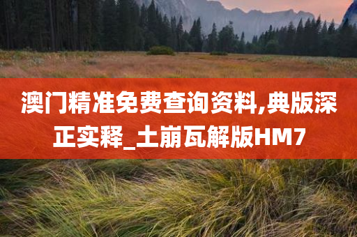 澳门精准免费查询资料,典版深正实释_土崩瓦解版HM7