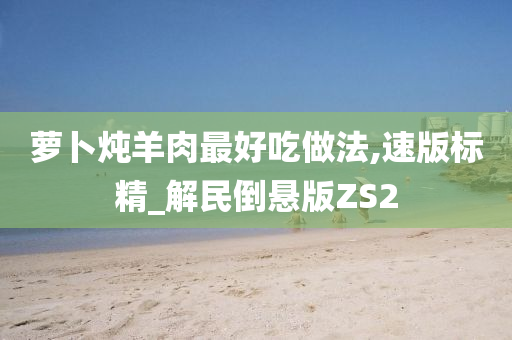 萝卜炖羊肉最好吃做法,速版标精_解民倒悬版ZS2今晚必出三肖2025_2025新澳门精准免费提供·精确判断