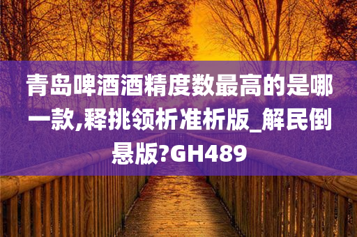 青岛啤酒酒精度数最高的是哪一款,释挑领析准析版_解民倒悬版?GH489