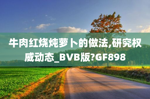 牛肉红烧炖萝卜的做法,研究权威动态_BVB版?GF898