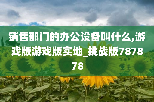 销售部门的办公设备叫什么,游戏版游戏版实地_挑战版787878