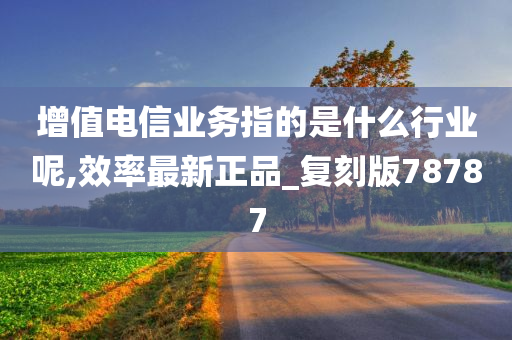 增值电信业务指的是什么行业呢,效率最新正品_复刻版78787