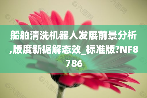 船舶清洗机器人发展前景分析,版度新据解态效_标准版?NF8786今晚必出三肖2025_2025新澳门精准免费提供·精确判断