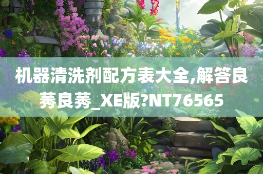 机器清洗剂配方表大全,解答良莠良莠_XE版?NT76565